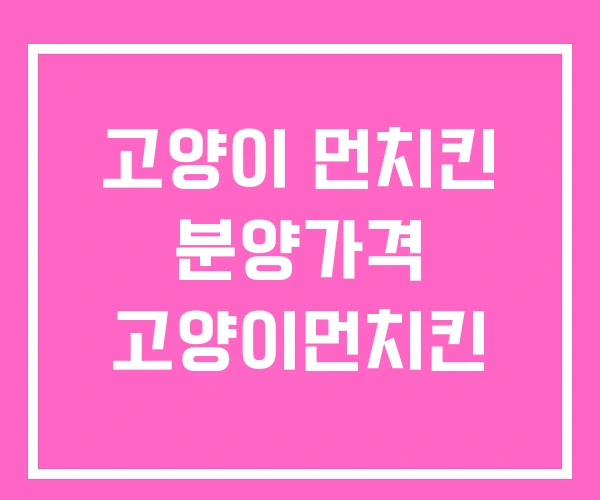 고양이 먼치킨 분양가격 고양이먼치킨