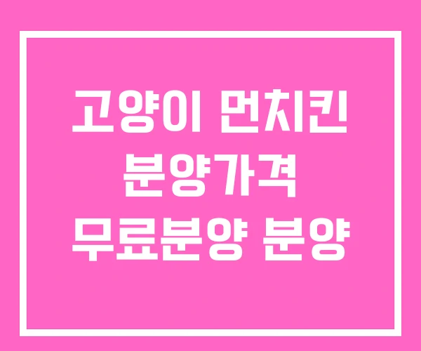 고양이 먼치킨 분양가격 무료분양 분양