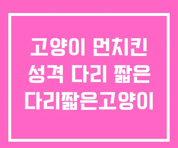 고양이 먼치킨 성격 다리 짧은 다리짧은고양이 고양이 먼치킨 성격 다리 짧은 다리짧은고양이