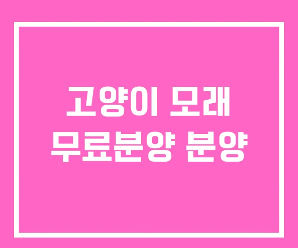 고양이 모래 무료분양 분양