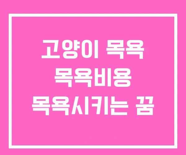 고양이 목욕 목욕비용 목욕시키는 꿈