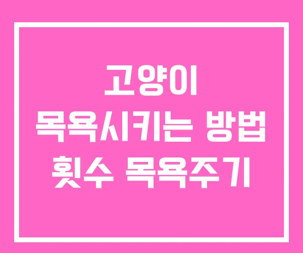 고양이 목욕시키는 방법 횟수 목욕주기