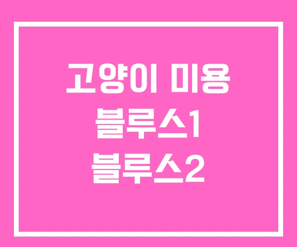 고양이 미용 블루스1 블루스2 고양이 미용 블루스1 블루스2