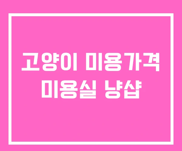 고양이 미용가격 미용실 냥샵