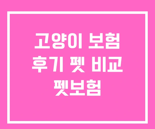 고양이 보험 후기 펫 비교 펫보험