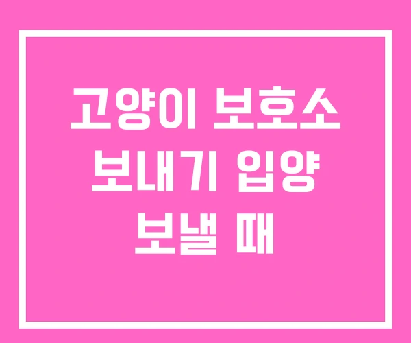 고양이 보호소 보내기 입양 보낼 때