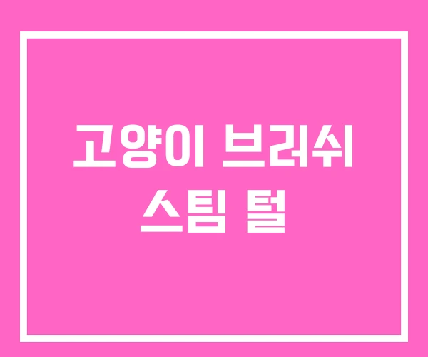 고양이 브러쉬 스팀 털 고양이 브러쉬 스팀 털