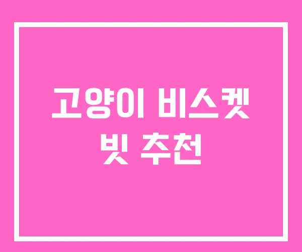 고양이 비스켓 빗 추천 고양이 비스켓 빗 추천