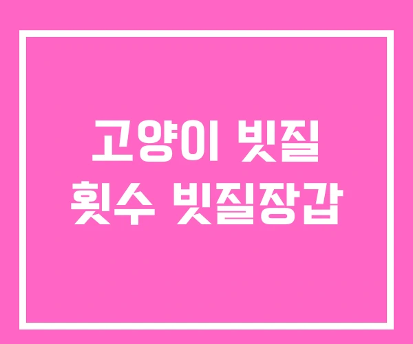 고양이 빗질 횟수 빗질장갑