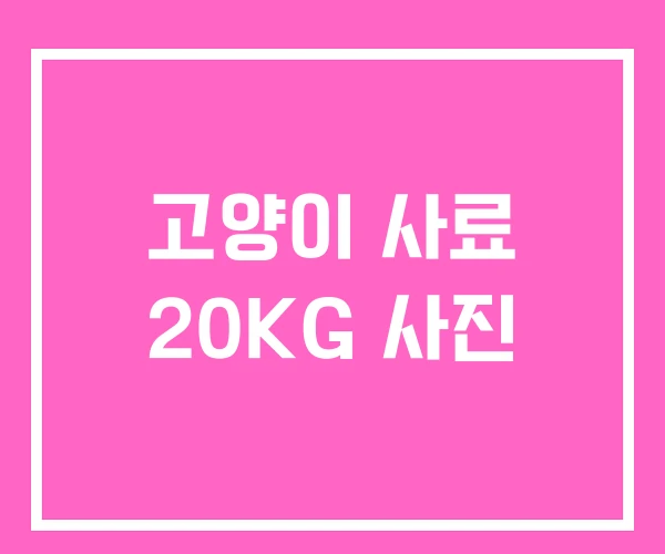 고양이 사료 20KG 사진 고양이 사료 20KG 사진