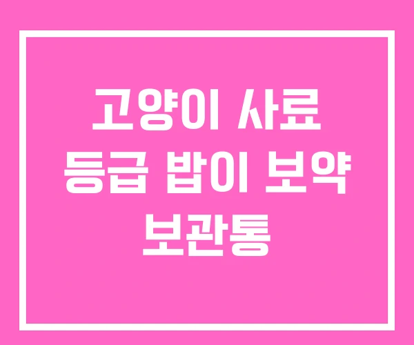 고양이 사료 등급 밥이 보약 보관통