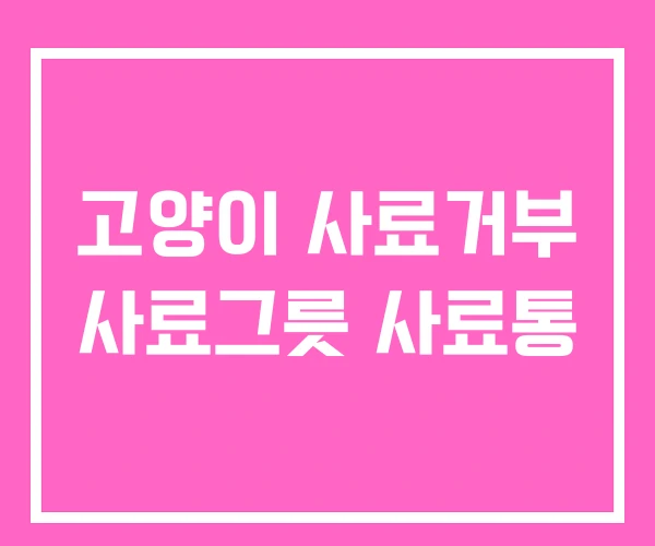 고양이 사료거부 사료그릇 사료통 고양이 사료거부 사료그릇 사료통