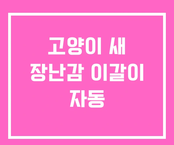 고양이 새 장난감 이갈이 자동