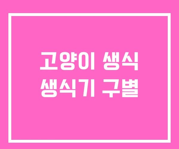 고양이 생식 생식기 구별 고양이 생식 생식기 구별