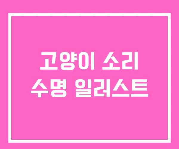 고양이 소리 수명 일러스트