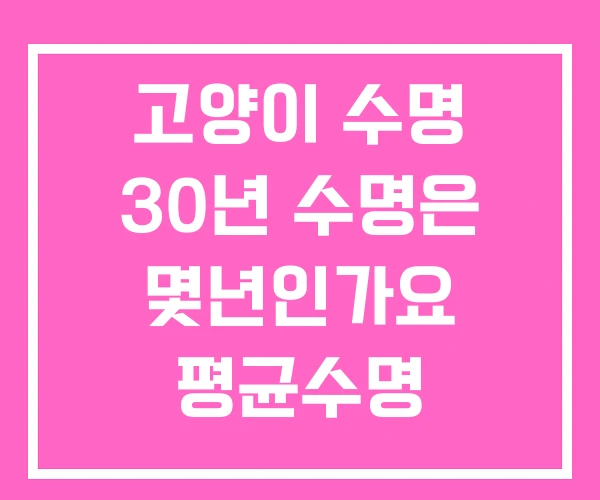 고양이 수명 30년 수명은 몇년인가요 평균수명