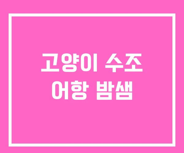 고양이 수조 어항 밤샘