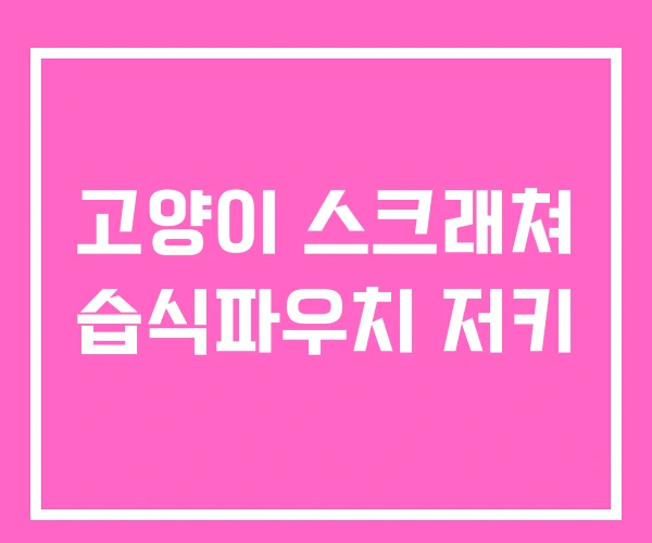 고양이 스크래쳐 습식파우치 저키 고양이 스크래쳐 습식파우치 저키