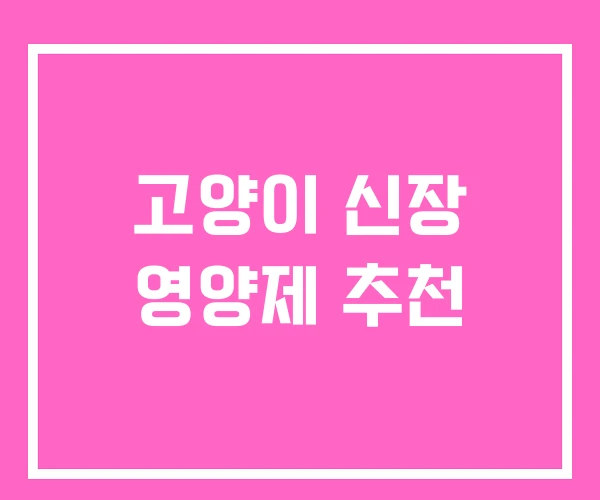 고양이 신장 영양제 추천