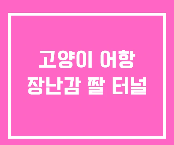 고양이 어항 장난감 짤 터널