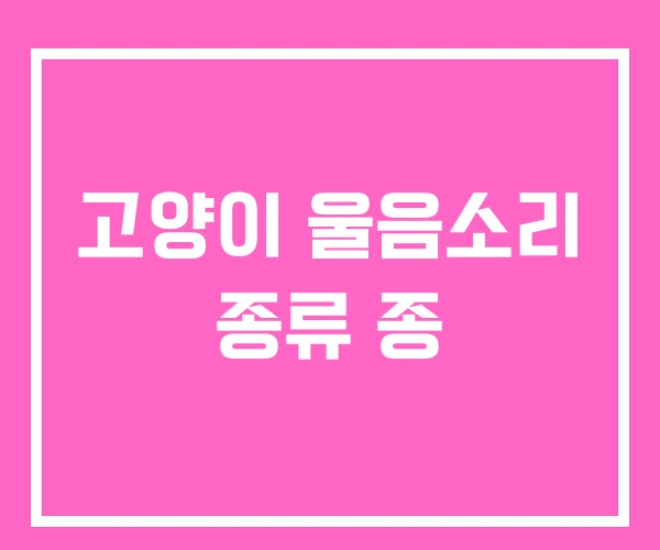 고양이 울음소리 종류 종 고양이 울음소리 종류 종