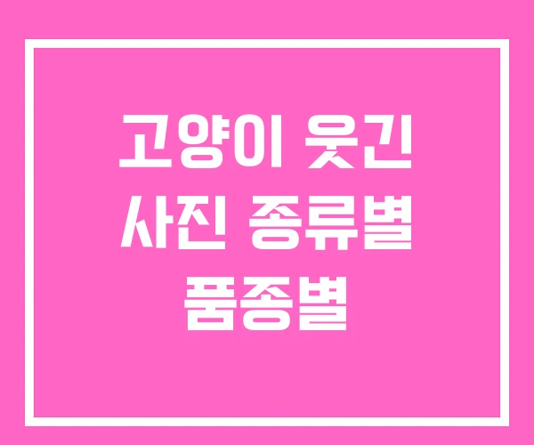 고양이 웃긴 사진 종류별 품종별 고양이 웃긴 사진 종류별 품종별