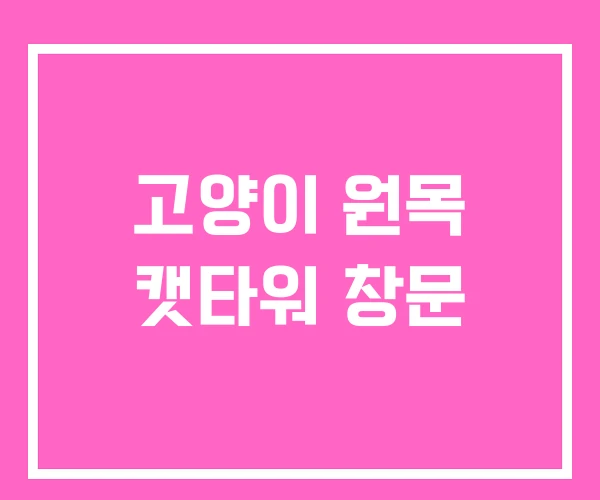 고양이 원목 캣타워 창문