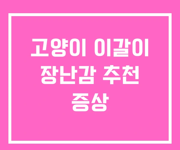 고양이 이갈이 장난감 추천 증상