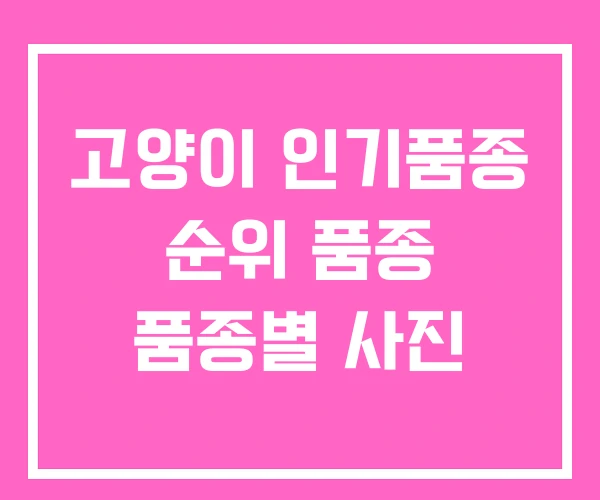 고양이 인기품종 순위 품종 품종별 사진