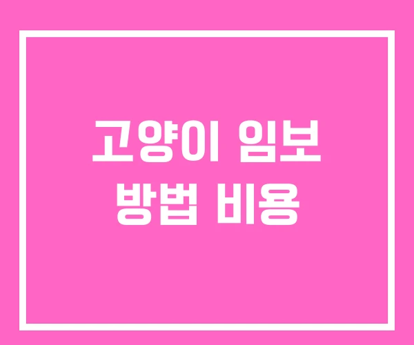 고양이 임보 방법 비용