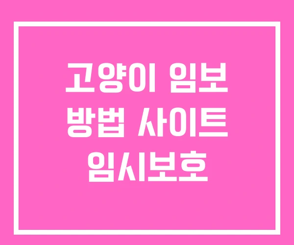 고양이 임보 방법 사이트 임시보호