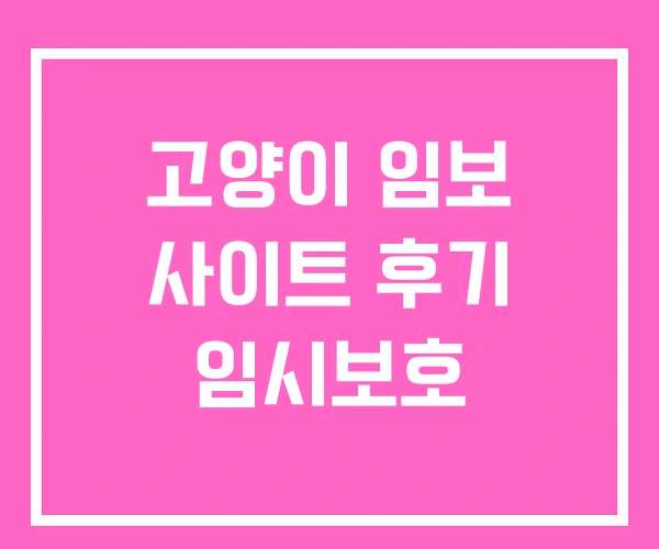 고양이 임보 사이트 후기 임시보호