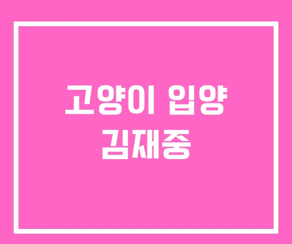 고양이 입양 김재중 고양이 입양 김재중