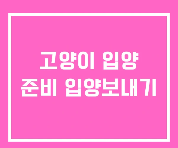 고양이 입양 준비 입양보내기