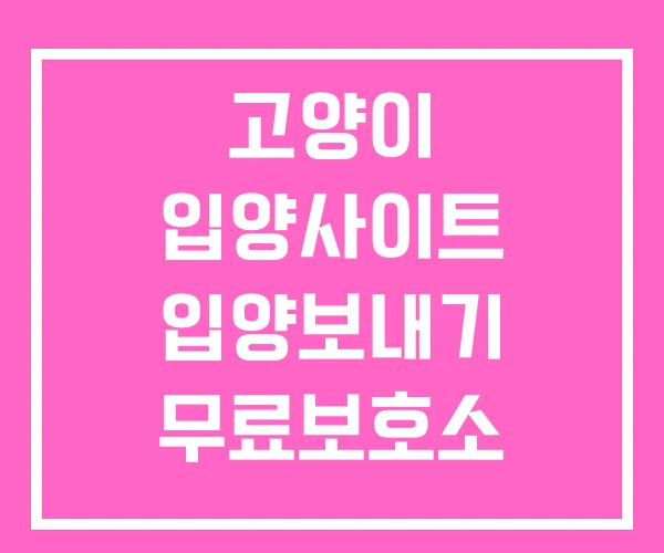 고양이 입양사이트 입양보내기 무료보호소 고양이 입양사이트 입양보내기 무료보호소