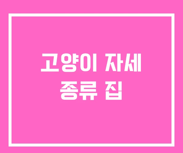 고양이 자세 종류 집 고양이 자세 종류 집