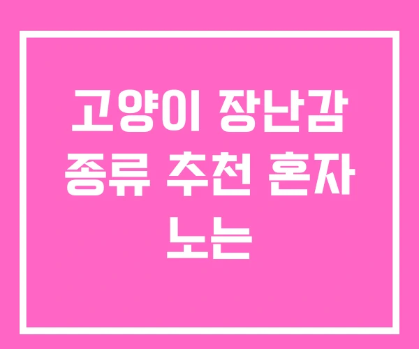 고양이 장난감 종류 추천 혼자 노는