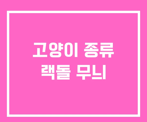 고양이 종류 랙돌 무늬