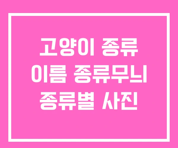 고양이 종류 이름 종류무늬 종류별 사진