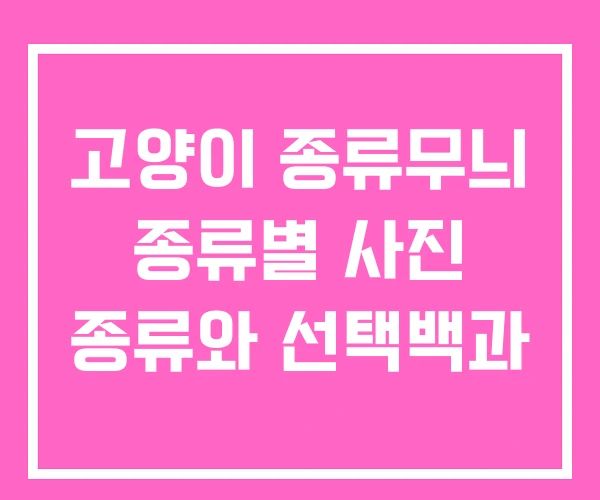 고양이 종류무늬 종류별 사진 종류와 선택백과