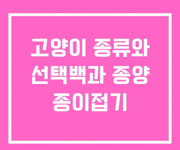 고양이 종류와 선택백과 종양 종이접기