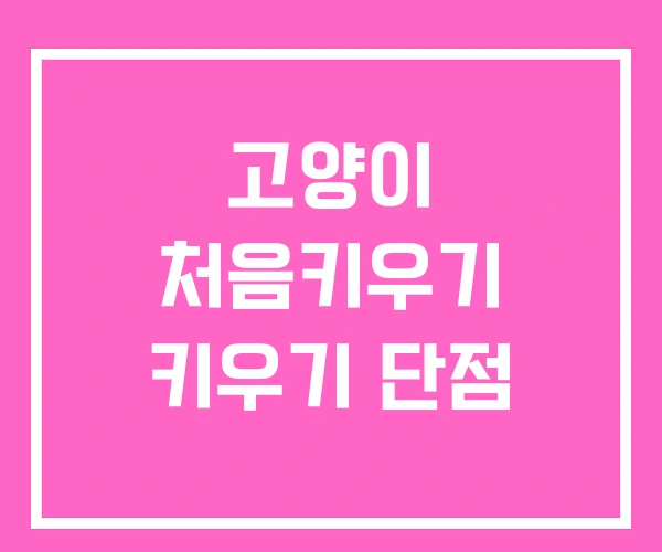 고양이 처음키우기 키우기 단점