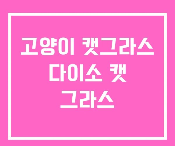 고양이 캣그라스 다이소 캣 그라스