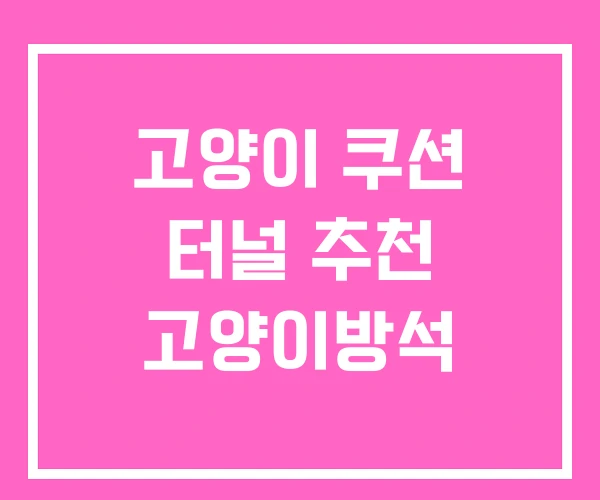 고양이 쿠션 터널 추천 고양이방석