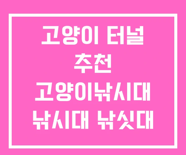 고양이 터널 추천 고양이낚시대 낚시대 낚싯대