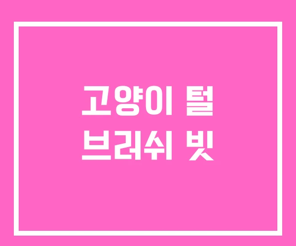 고양이 털 브러쉬 빗