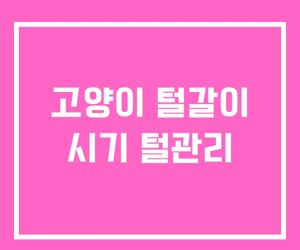 고양이 털갈이 시기 털관리 고양이 털갈이 시기 털관리