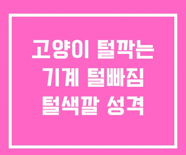 고양이 털깍는 기계 털빠짐 털색깔 성격 고양이 털깍는 기계 털빠짐 털색깔 성격