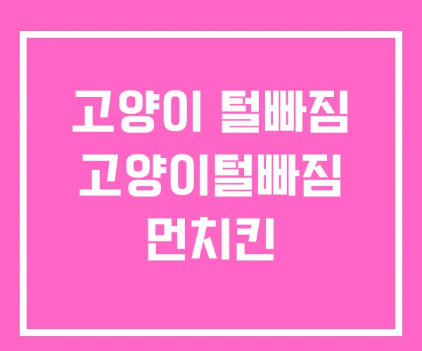 고양이 털빠짐 고양이털빠짐 먼치킨