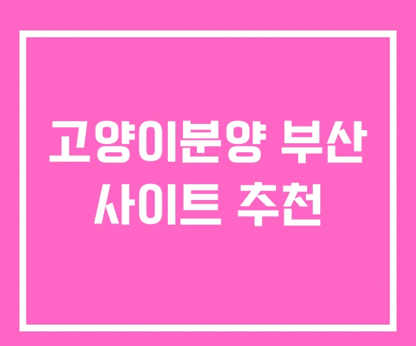 고양이분양 부산 사이트 추천